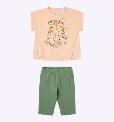 Conjunto tigre